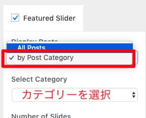 「by Post Category」を選択すると選択したカテゴリーの記事のみを表示させることができます